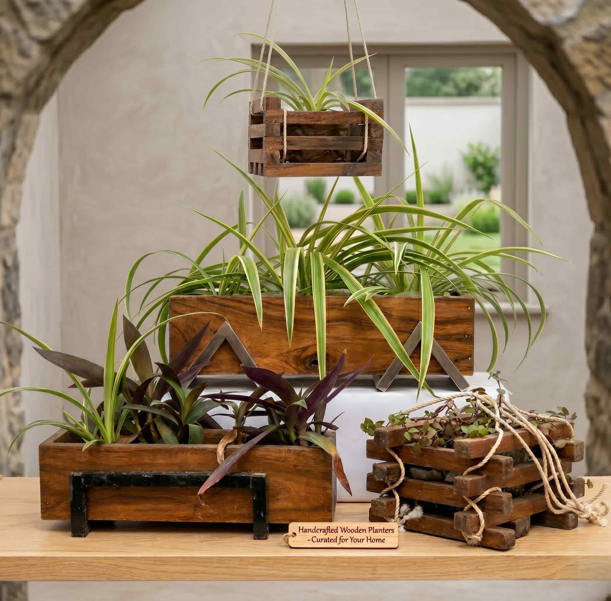 Wooden Planters